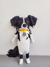 Kép betöltése a galériamegjelenítőbe: Házi kedvenc