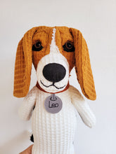 Kép betöltése a galériamegjelenítőbe: Házi kedvenc