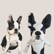 Kép betöltése a galériamegjelenítőbe: Házi kedvenc