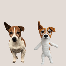 Kép betöltése a galériamegjelenítőbe: Házi kedvenc