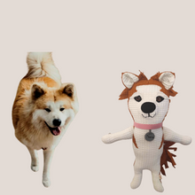 Kép betöltése a galériamegjelenítőbe: Házi kedvenc