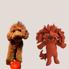 Kép betöltése a galériamegjelenítőbe: Házi kedvenc