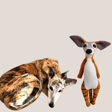 Kép betöltése a galériamegjelenítőbe: Házi kedvenc