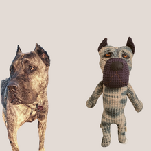 Kép betöltése a galériamegjelenítőbe: Házi kedvenc