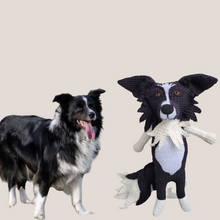 Kép betöltése a galériamegjelenítőbe: Házi kedvenc