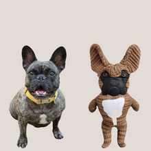 Kép betöltése a galériamegjelenítőbe: Házi kedvenc