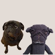 Kép betöltése a galériamegjelenítőbe: Házi kedvenc