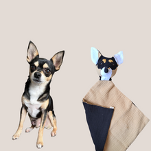 Kép betöltése a galériamegjelenítőbe: Házi kedvenc