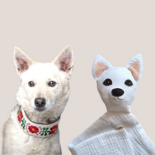 Kép betöltése a galériamegjelenítőbe: Házi kedvenc