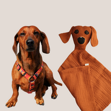 Kép betöltése a galériamegjelenítőbe: Házi kedvenc