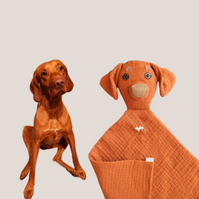 Kép betöltése a galériamegjelenítőbe: Házi kedvenc