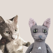 Kép betöltése a galériamegjelenítőbe: Házi kedvenc