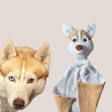 Kép betöltése a galériamegjelenítőbe: Házi kedvenc